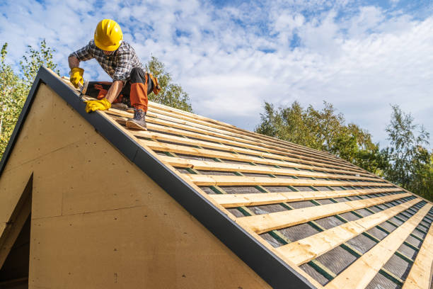 Best Roof Gutter Cleaning  in Winslow, AZ