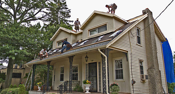 Best Storm Damage Roof Repair  in Winslow, AZ